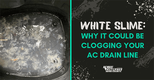This photo shows white slime from a North Port, FL air conditioner in the tub of a wet/dry vac.)